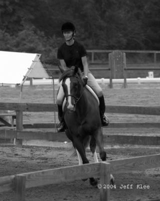 IMG_3444_2.jpg