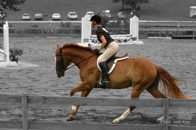 IMG_3449_2.jpg