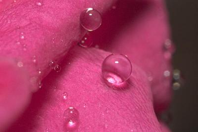 CRW_7486w.jpg