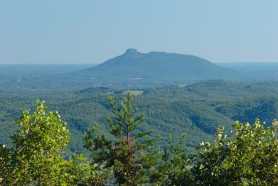 IMG_0070.jpg