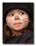 Halloween Cat
