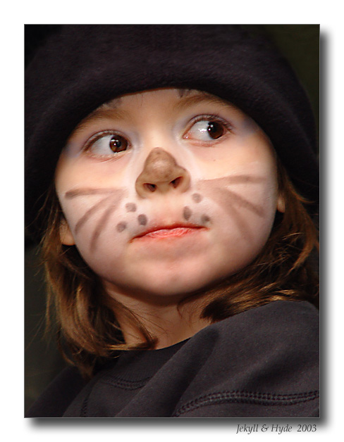 Halloween Cat