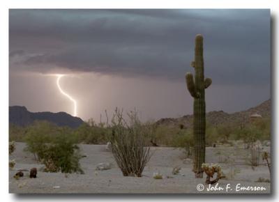 Desert Thunderstorm