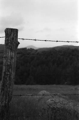 Barb Wire Post