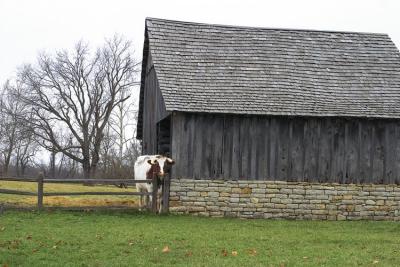 CRW_5557.jpg