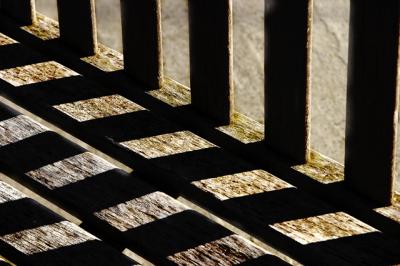 CRW_0321.jpg