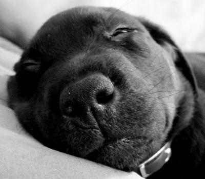 Sleeping