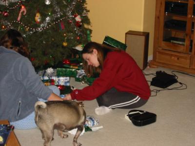 120-2039_IMG.JPG