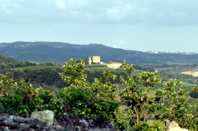 View fr. For0685.jpg