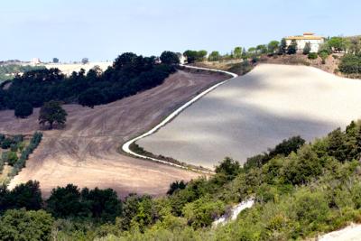 To Voltera pattern1.jpg