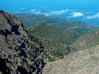 A birds eye view.