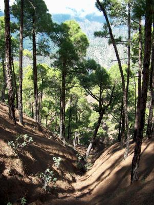 La Cumbrecita.  (6)