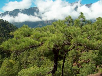 La Cumbrecita.  (9)