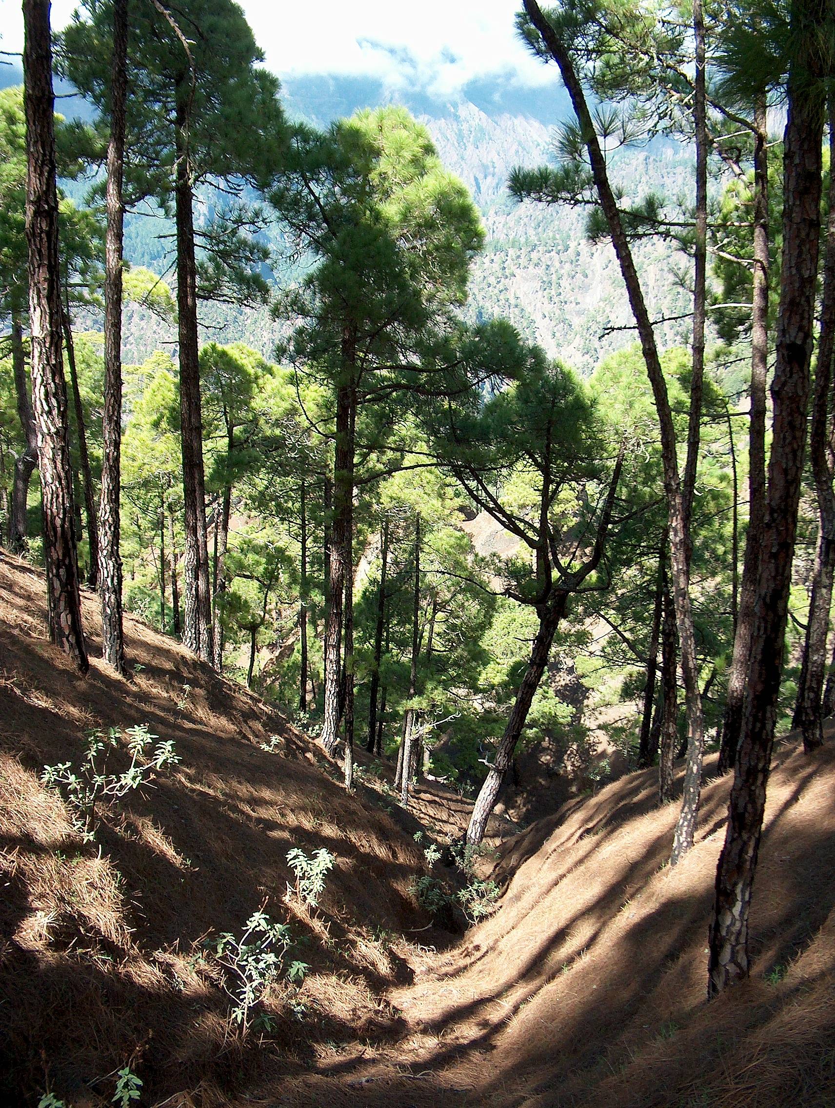 La Cumbrecita.  (6)