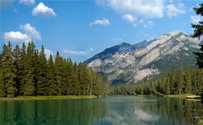 Bow River3.jpg