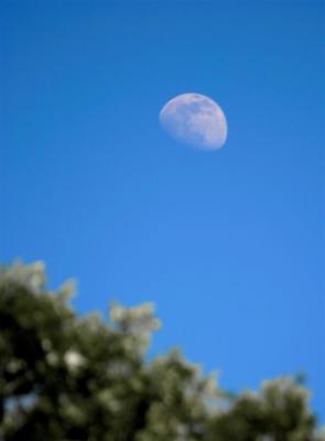 IMG_3639 moon cropped and ajdusted (Large).tif