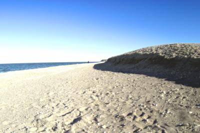 beach mini bluff adjstd.jpg