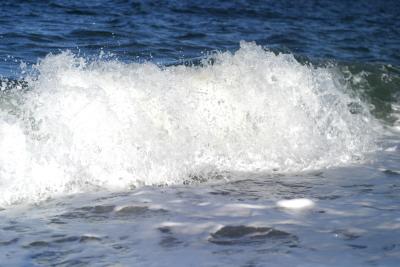 day at the beach0049---.jpg