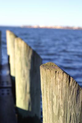 day at the beach0093----.jpg
