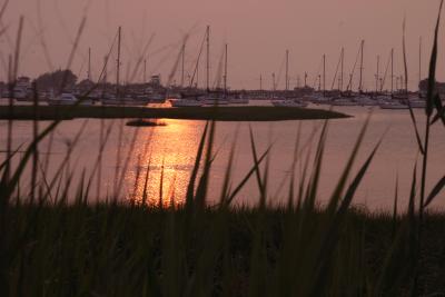 IMG_3767-----.jpg