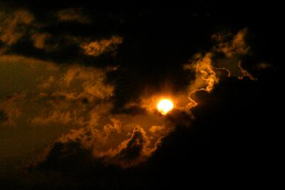 IMG_4267-----.jpg