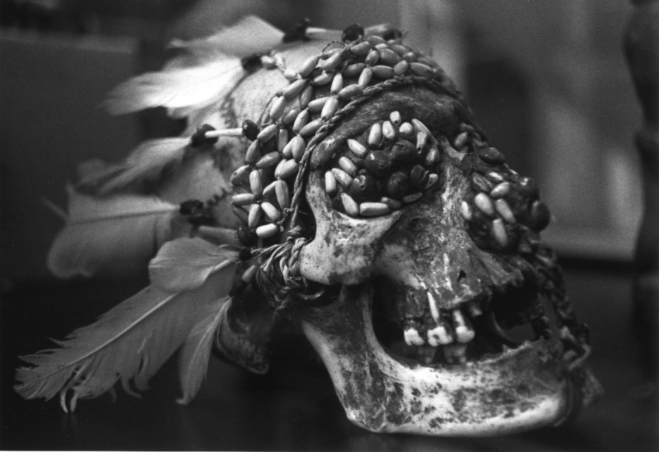 Decorated Skull Tropen Museum