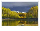 *Reflecting Pond*