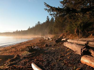 Looking south at high tide