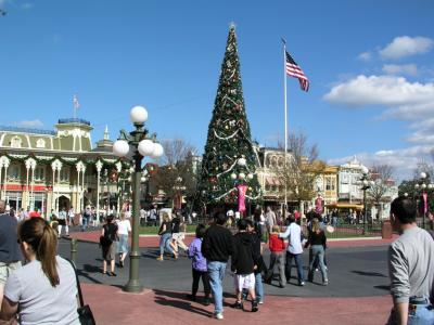 Christmas Tree display, Main Street