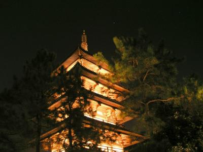 Japanese Shrine at night - Japan