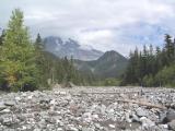 Mt. Rainier National Park