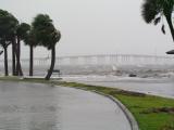 Storm surge from Ballard Park.