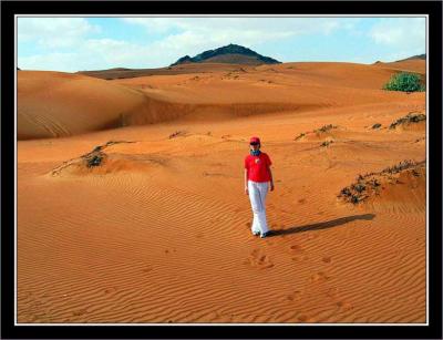  Desert walk 