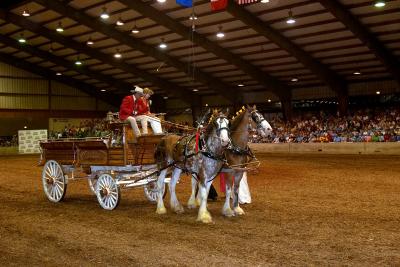 national clydesdale show