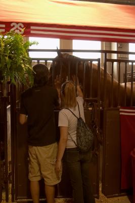 u36/jypsee/medium/32319113.horselovers.jpg