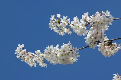 IMG_8547.jpg