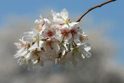 IMG_8570ps_filtered.jpg