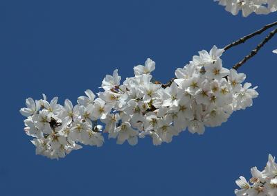 IMG_8605.jpg