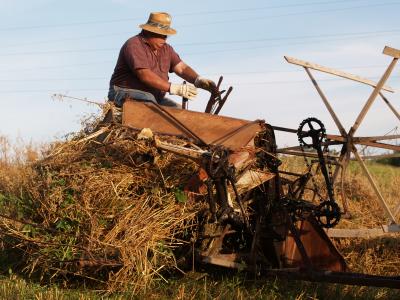 Grain Binder