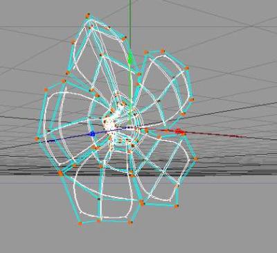 EA HW4 flower isoparms.jpg