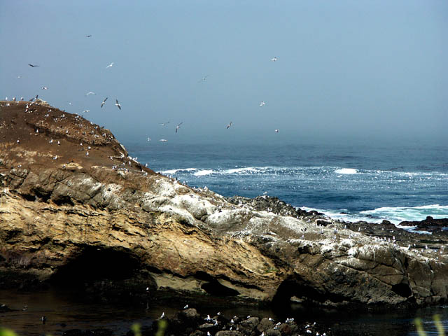 040807 Newport, OR.