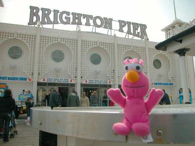 Telly at Brighton