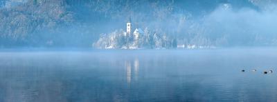 u36/katnphil/medium/32193156.Island4.jpg