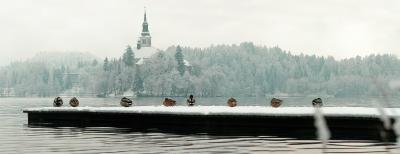 u36/katnphil/medium/32193186.Bled.jpg
