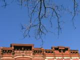 Building Top and Branches