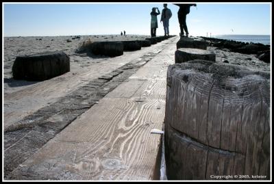 Walkway of Wood