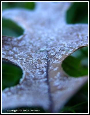 Briant-Frost-1