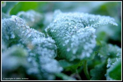 Briant-Frost-3