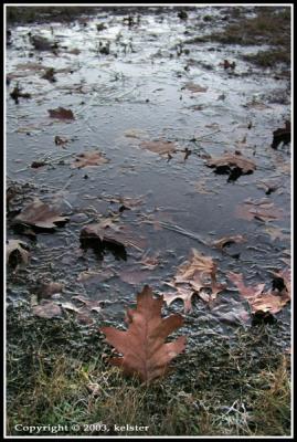 CrispyWaters1@Briant