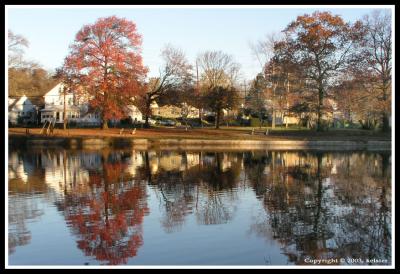 Reflections-2-@Briant